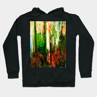 The window Hoodie